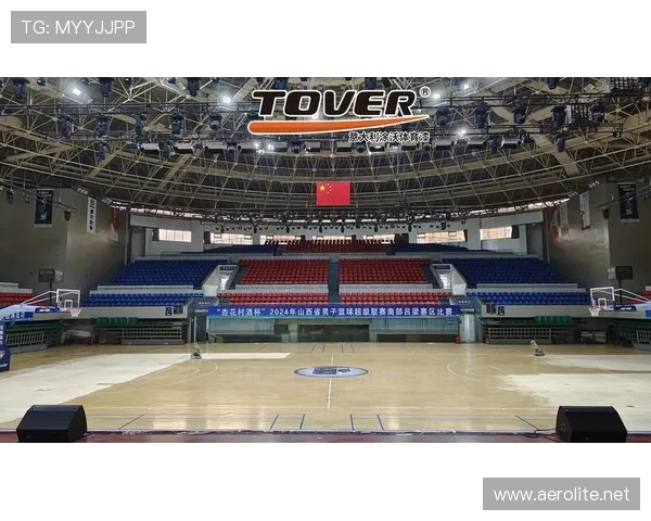 幕后陪练团：奋力拼搏的支持者们如何助力运动员登上巅峰赛场